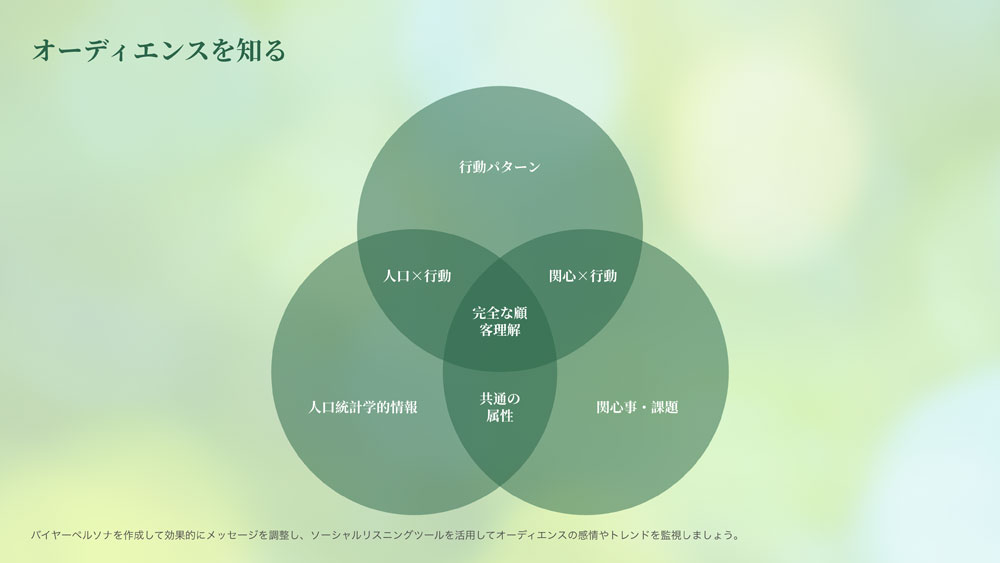 sns コンサルティング